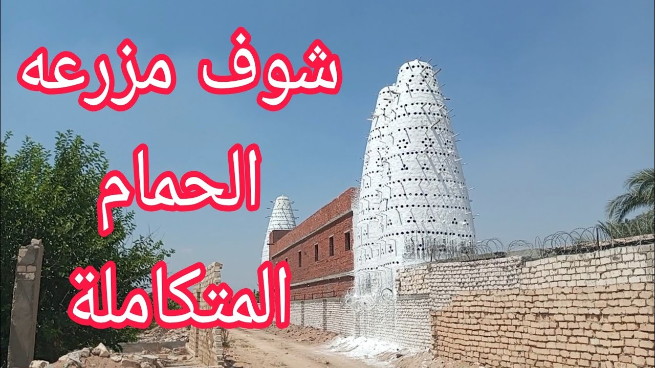 شوف المزرعه المتكامله (برج حمام بري و برجين حمام بلدي ومزرعه حمام لاحم فرنساوي) مع ابو مازن الفخراني