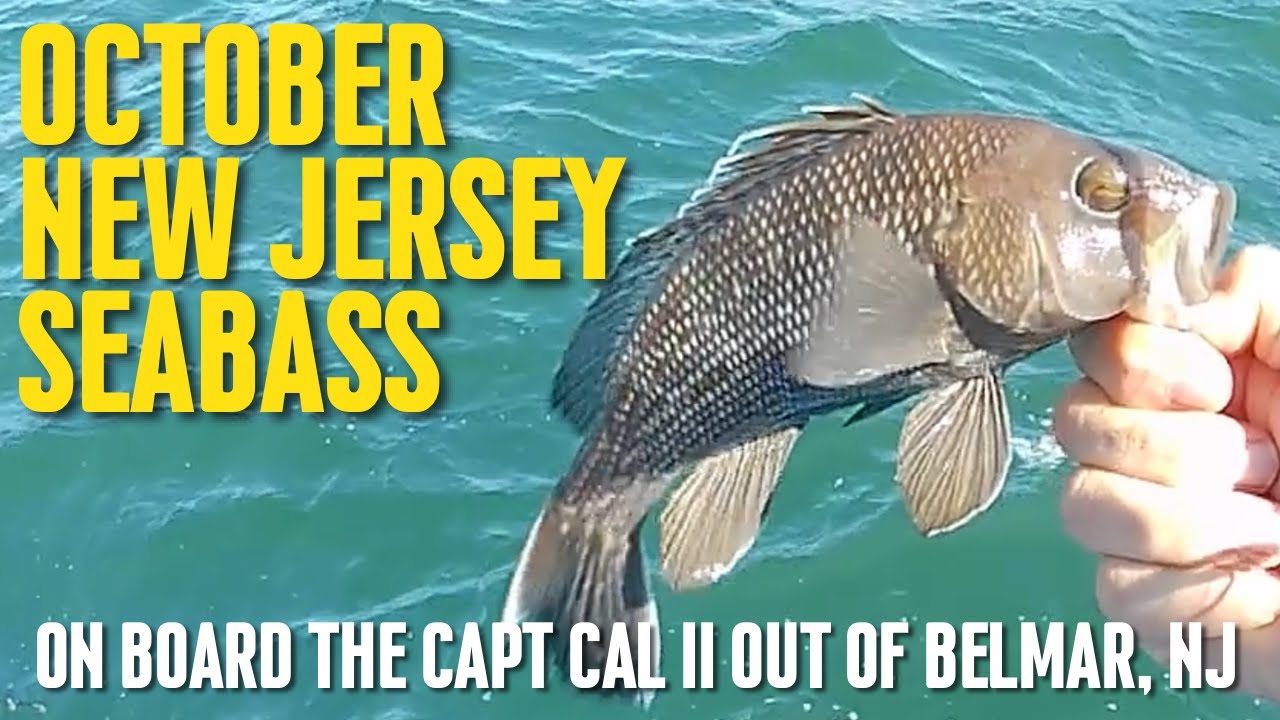OCTOBER NJ SEABASS