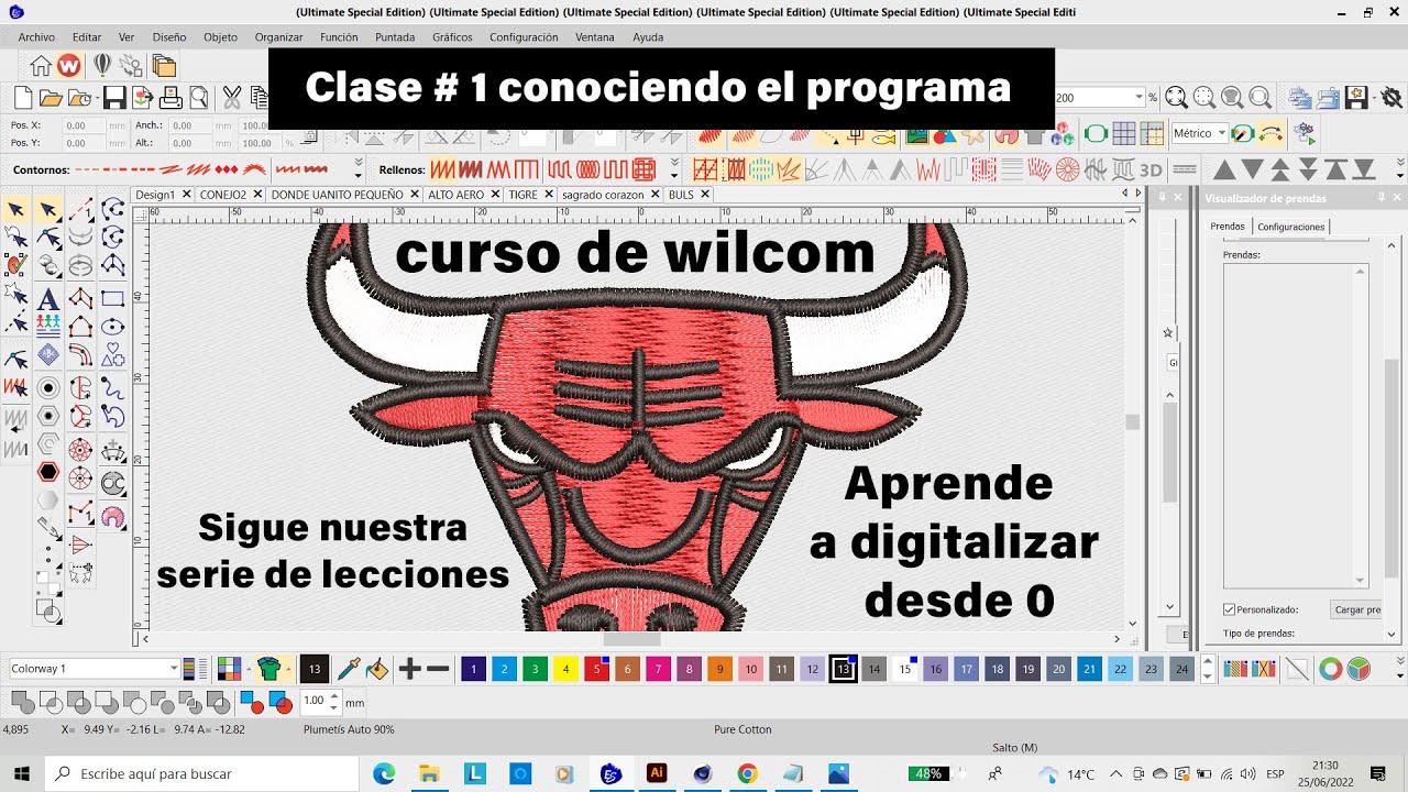 Lección 1: Wilcom EmbroideryStudio e4.2  Conociendo el programa