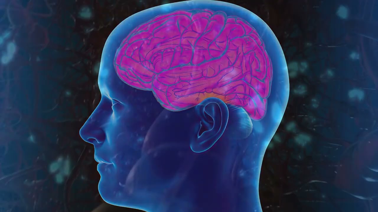 A Blueprint for Building Positive Habits That Stick | Habit Formation Tips and Strategies