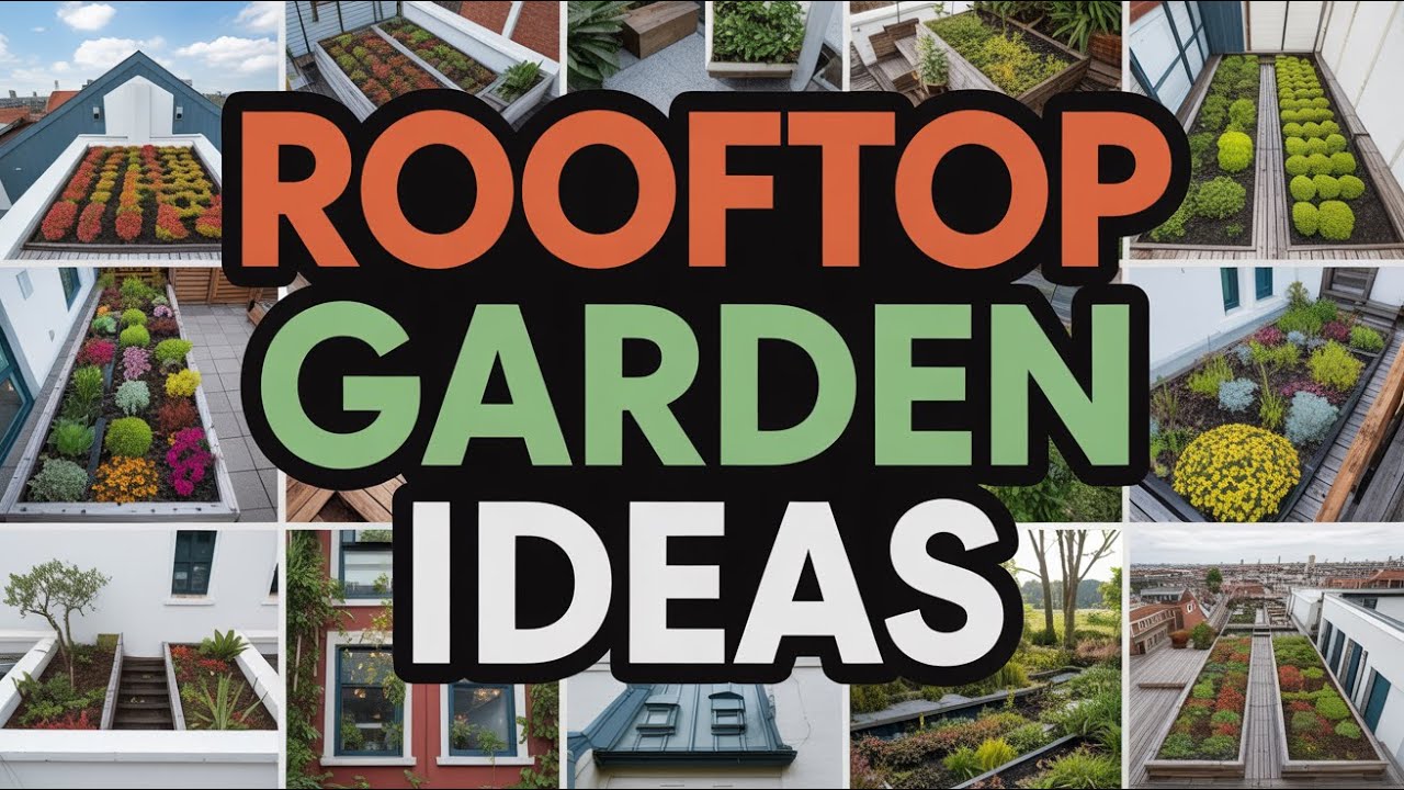 The Dreamiest Rooftop Garden Ideas: Create Your Own Urban Oasis!