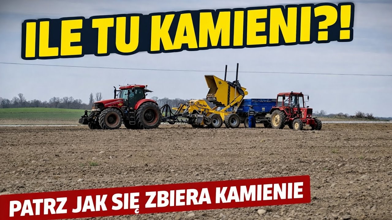 Nie uwierzysz ile kamieni było na tym polu! Case Puma 230 i ELHO Scorpio 550 w akcji!!!