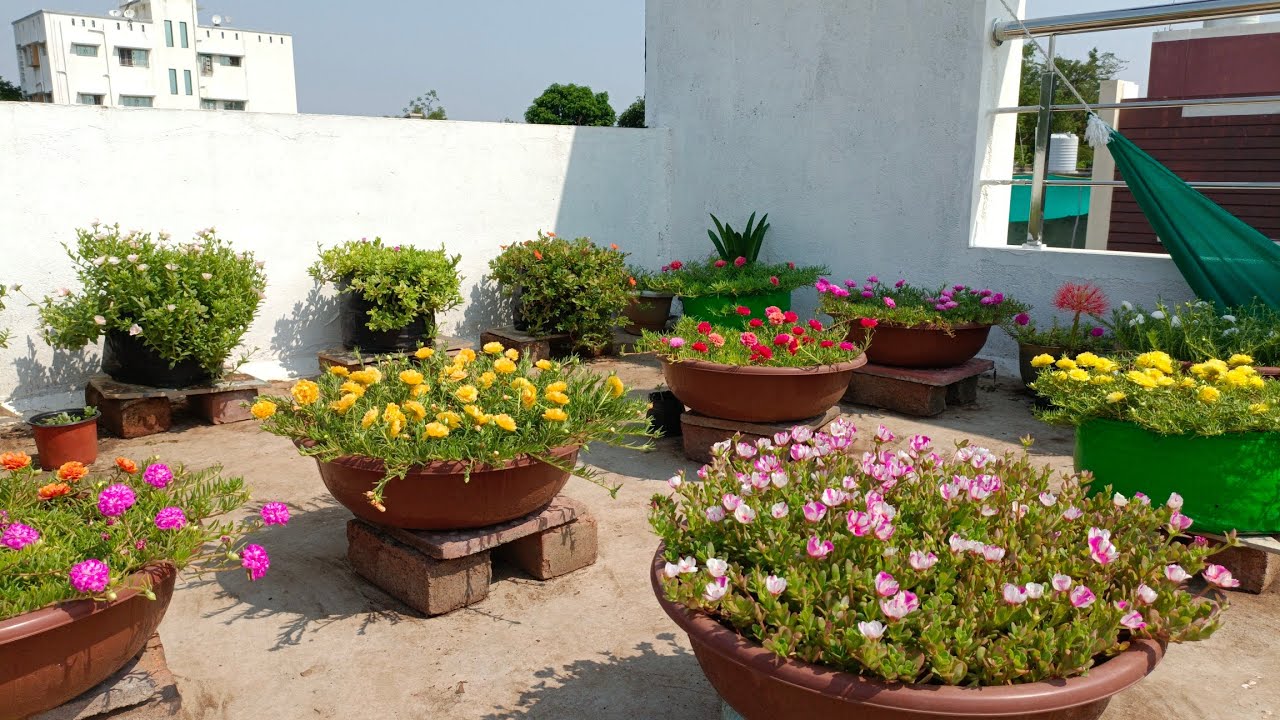 May Garden Overview 🥰