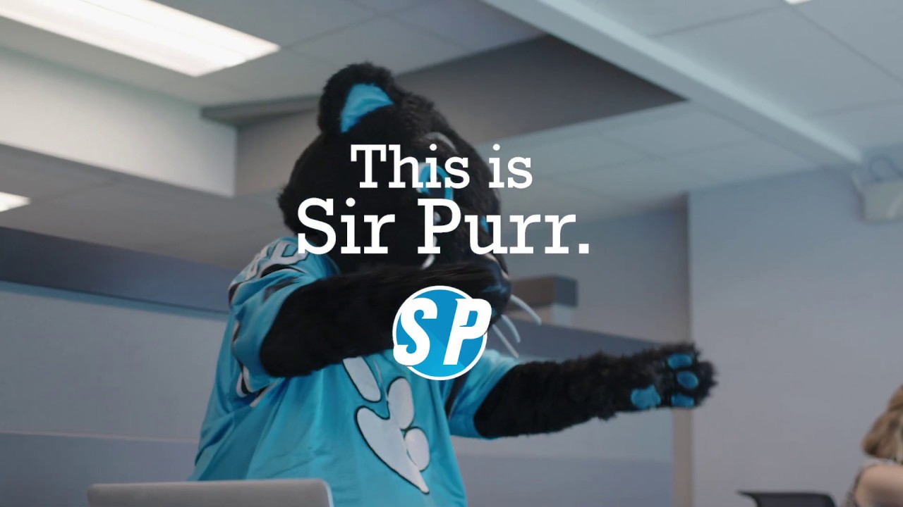 This is Sir Purr: DJ Purr