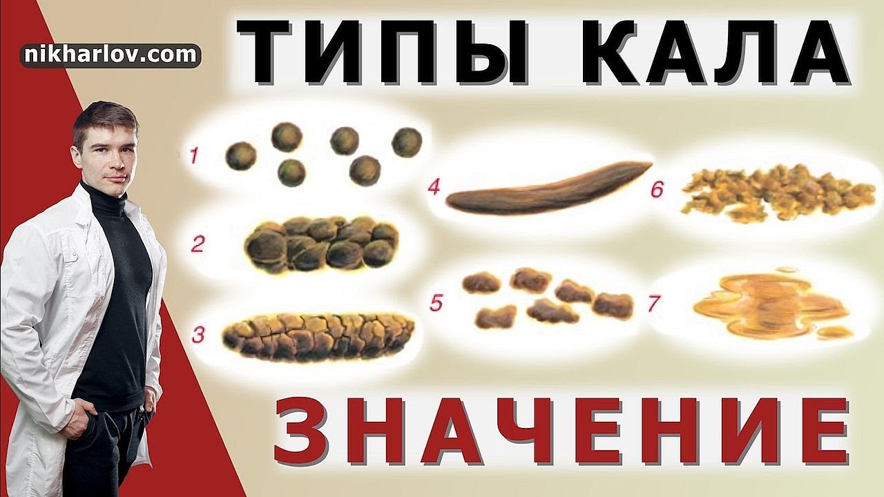 Бристольская шкала формы кала - Расшифровка от гастроэнтеролога. Как выглядит норма, запор, диарея.