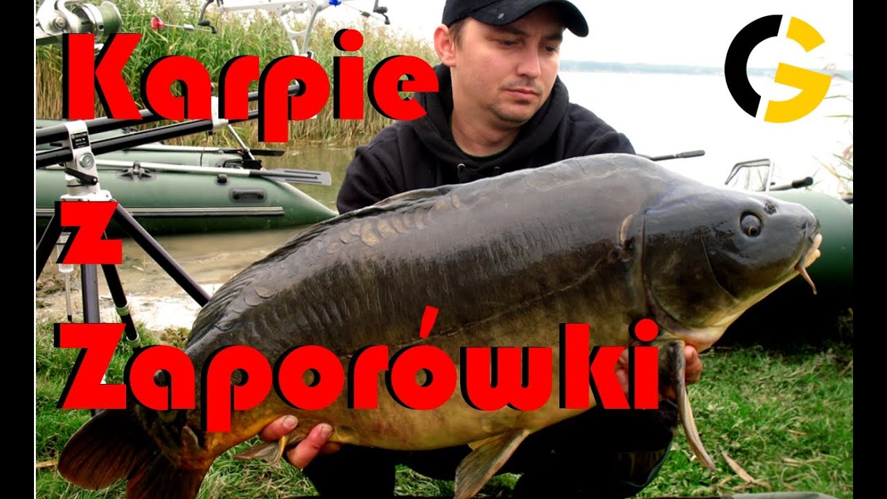 Karpie z Zaporówki W Pogoni za karpiem 4