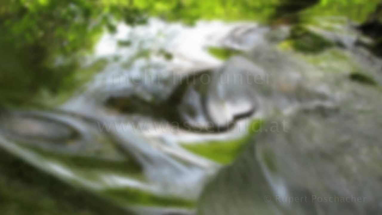 Die Botschaft des Wassers an uns Menschen - Wasserbilder lange Version