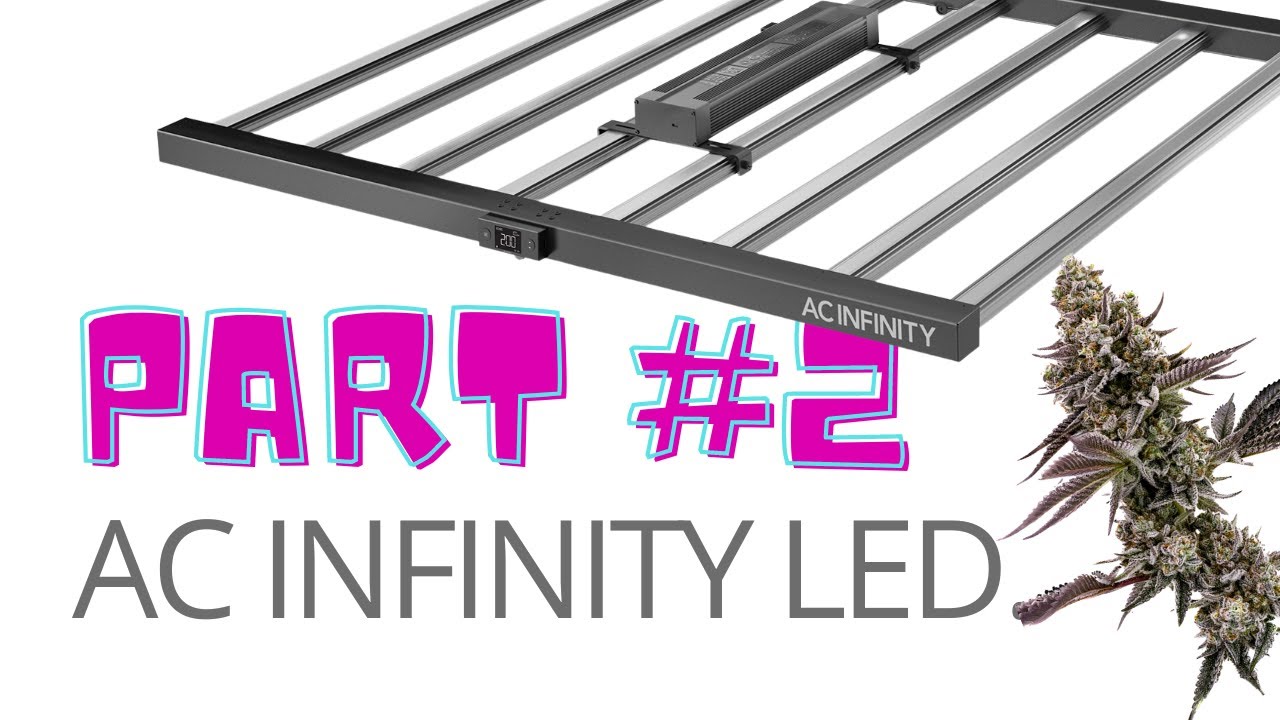 Part 2: This Test Grower's Experience with AC Infinity's IONFRAME & IONBEAM UV Will Blow Your Mind!