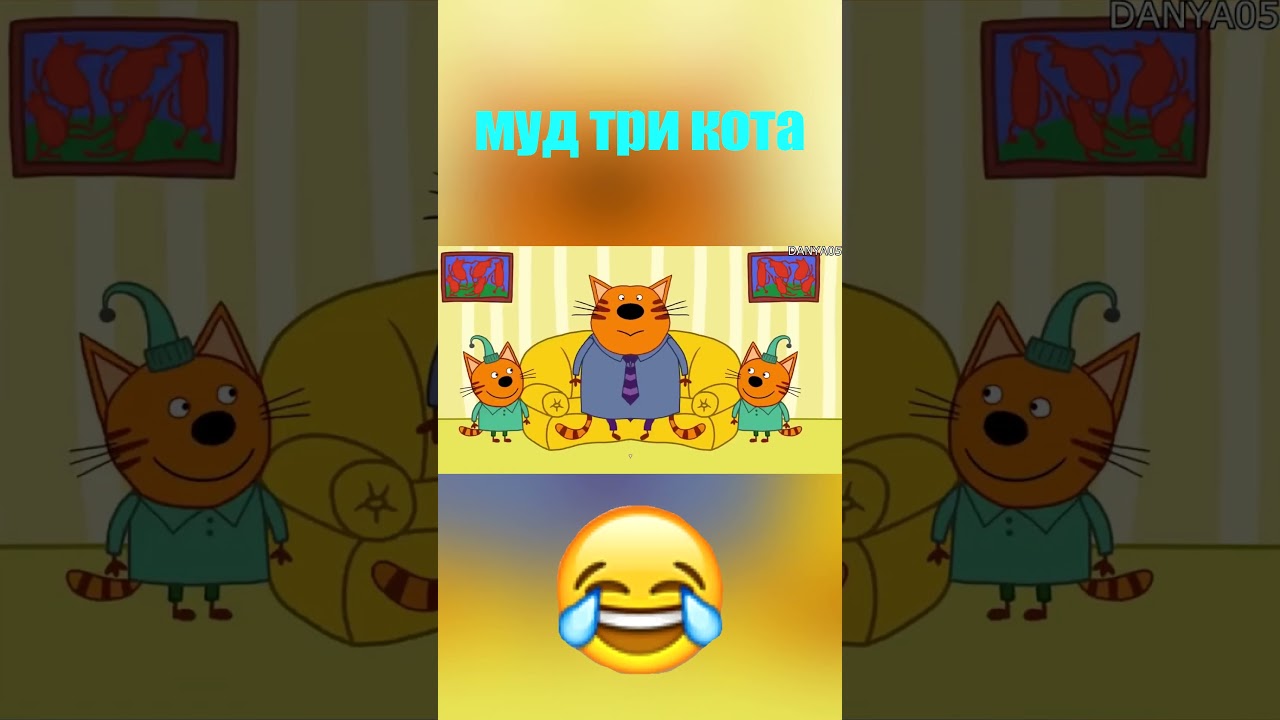 муд три кота 🤣