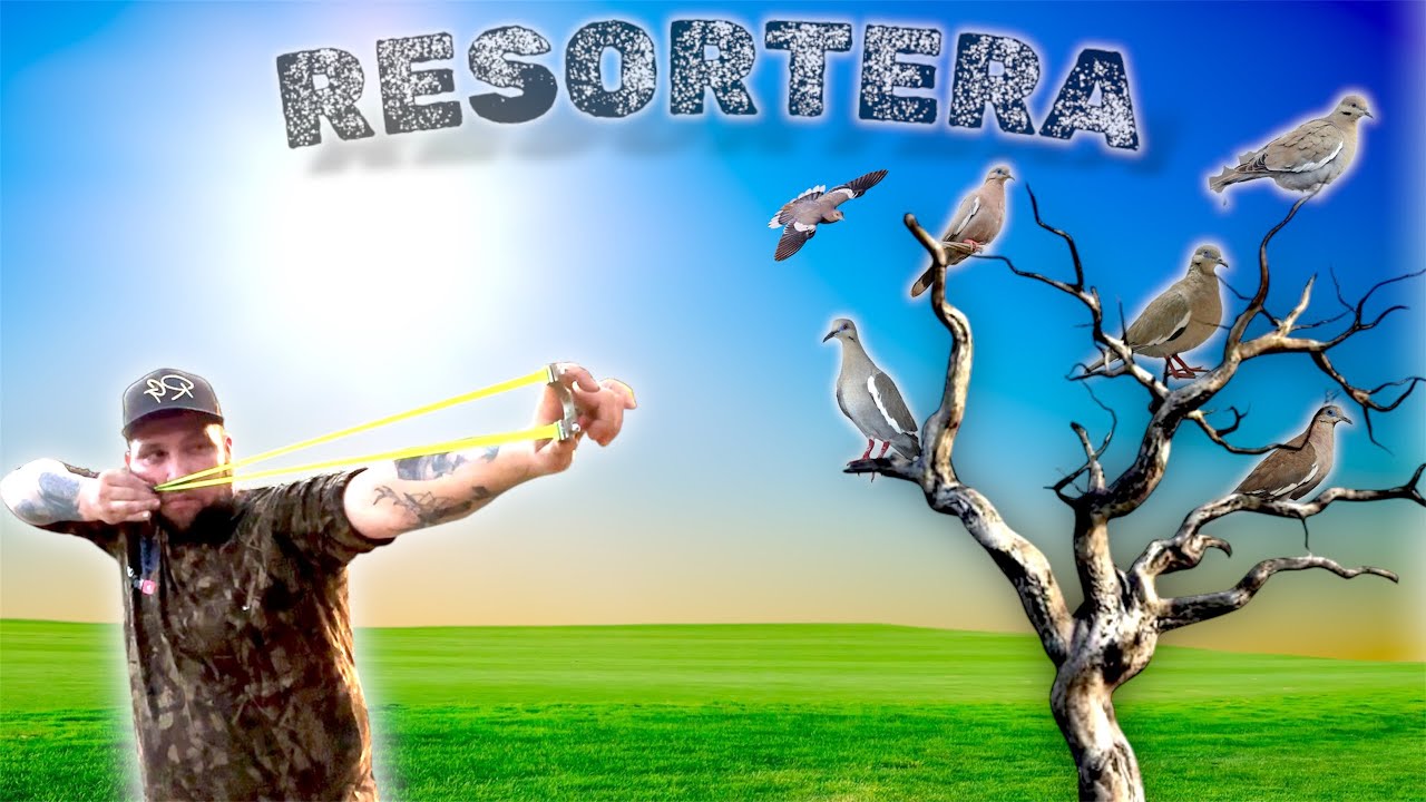 ‼️ Cazamos MUCHAS palomas con la RESORTERA 🎯 //  SUPER tiros 🤯