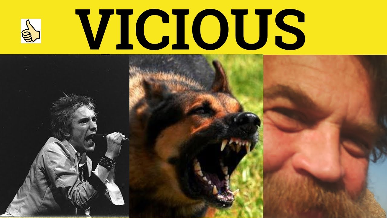 🔵 Vicious Viciously Viciousness - Vicious Meaning - Viciously Examples - Viciousness Defined