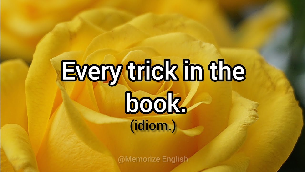 Every Trick in the Book 📘 | Easy English Idiom