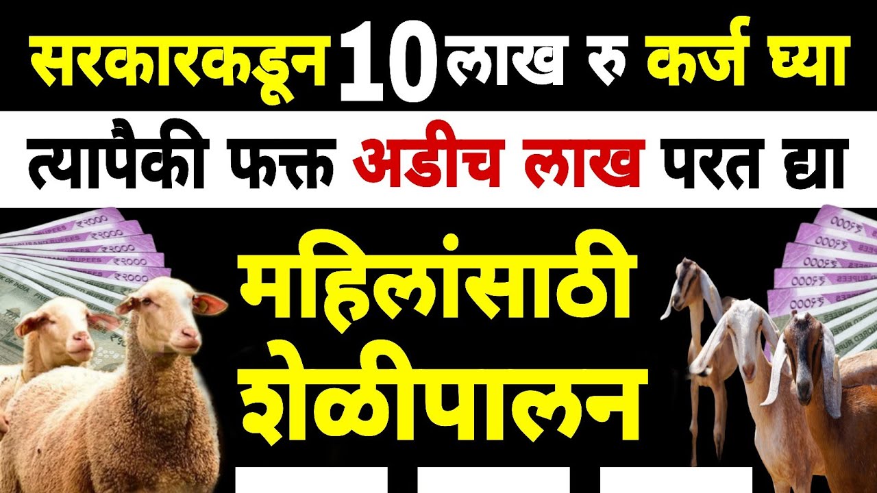 शेळी मेंढीपालन योजनेसाठी महिलांना 75 टक्के अनुदान | Dnyaneshwar Kharat Patil 