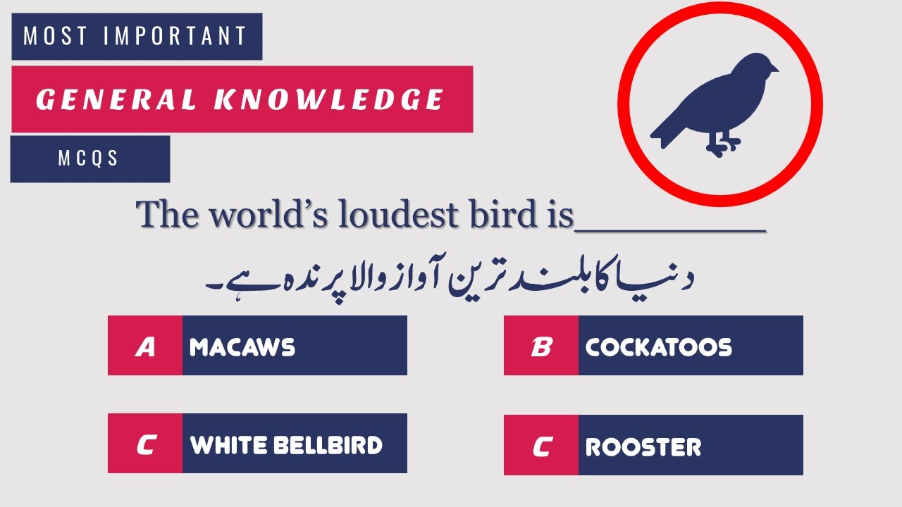 Important General Knowledge MCQs | GK Questions & Answers For PPSC FPSC SPSC CSS IBA FBR NTS |Part-1