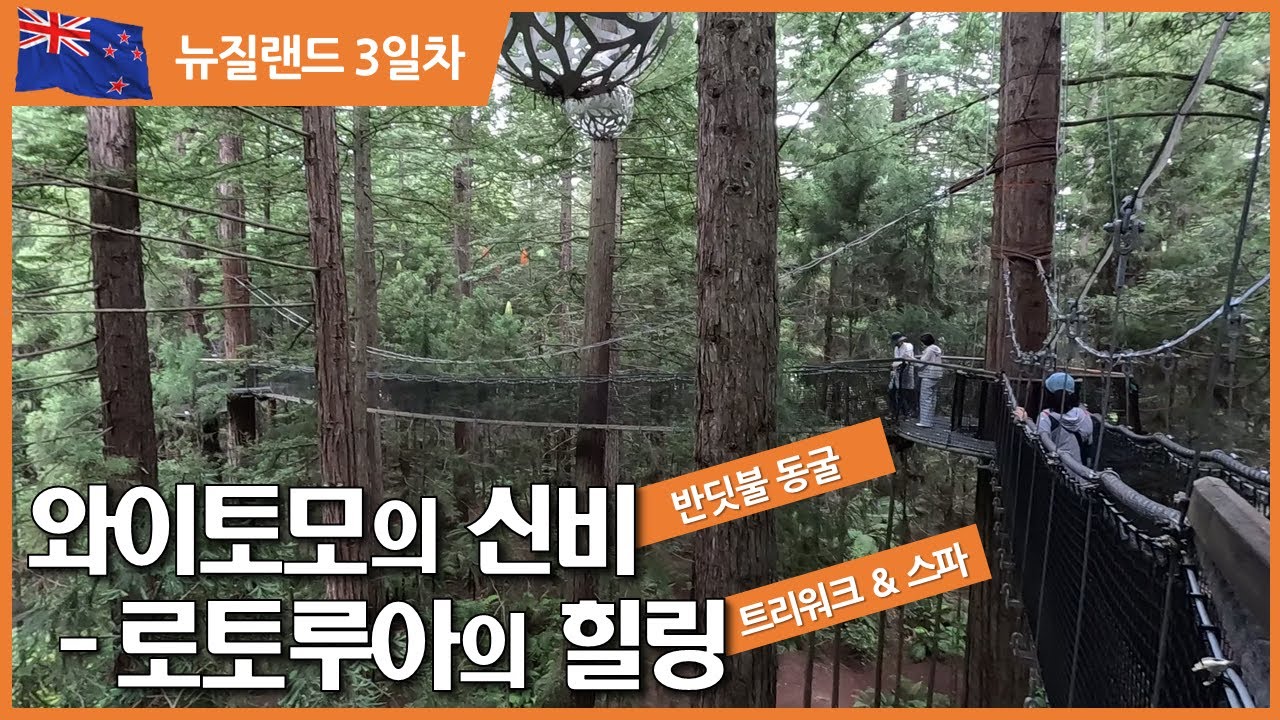 [뉴질랜드3일차_캠핑카여행]와이토모 반딧불 동굴의 신비와 로토루아의 힐링여행(트리워크, 스파)