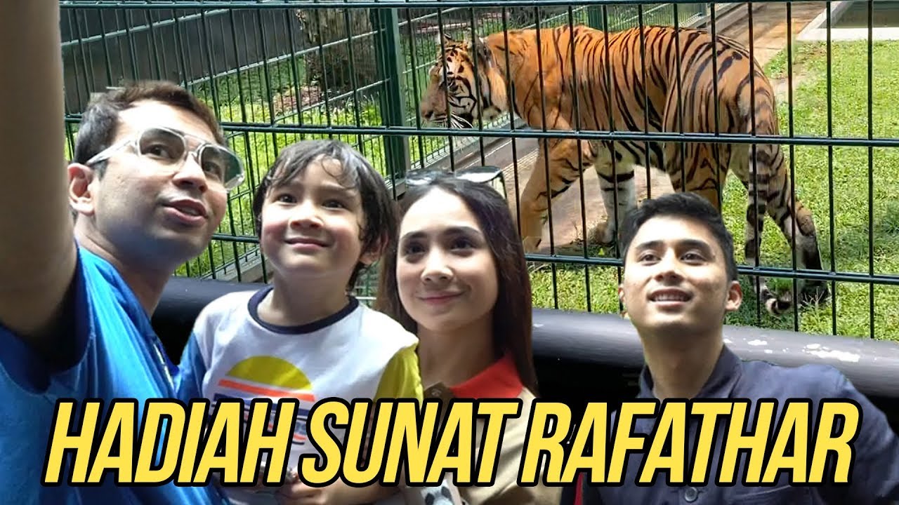 RAFATHAR MAU ESHAN (HARIMAU) PUNYA ALSHAD JADI HADIAH SUNAT!!