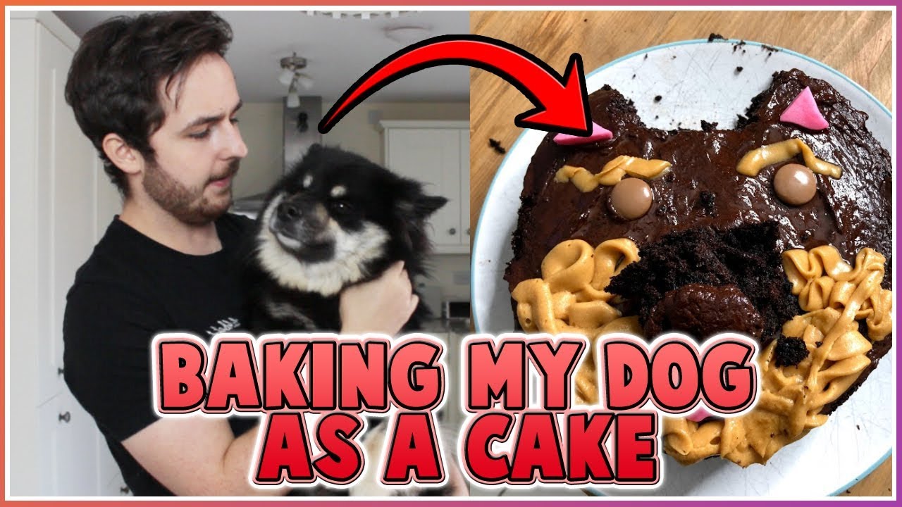 Baking My Dog as a Cake!