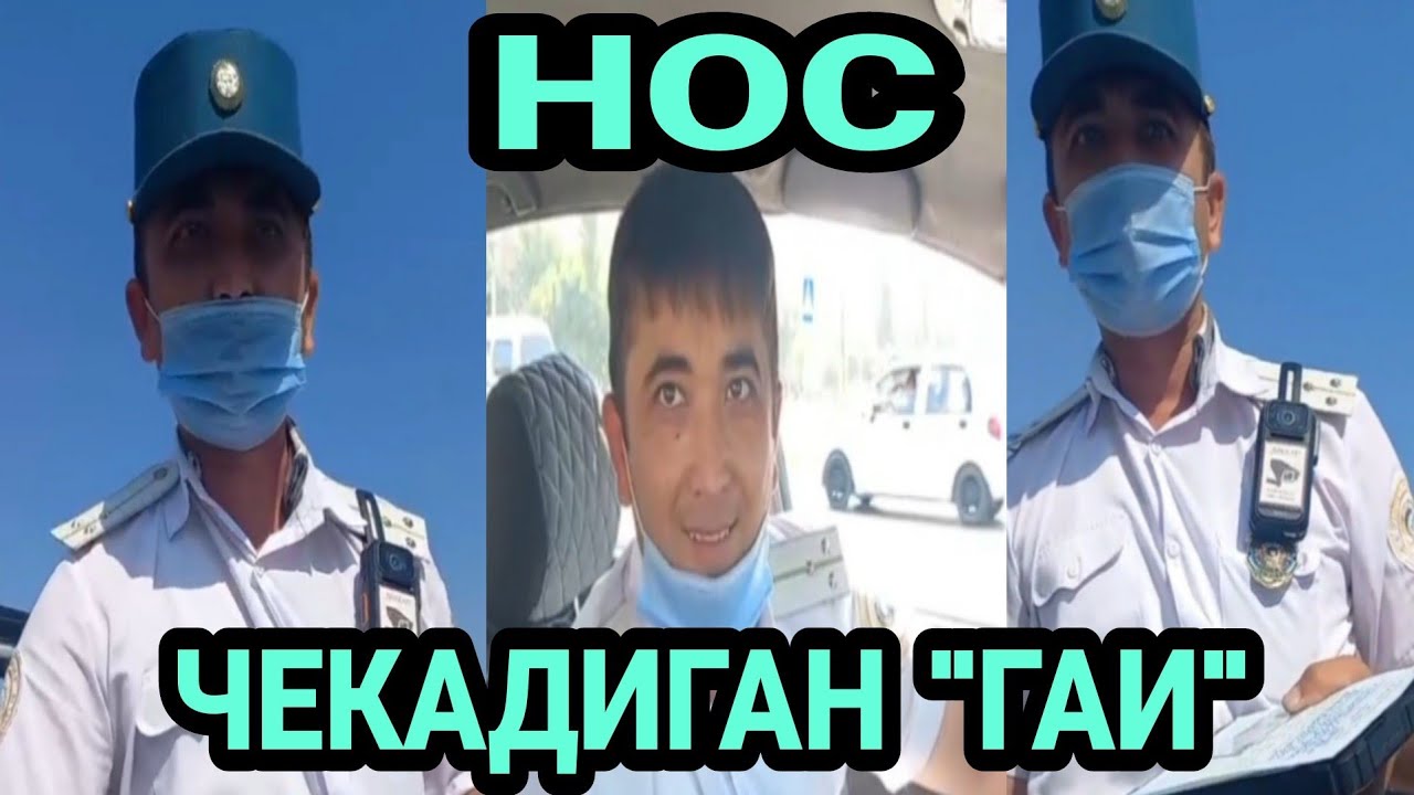 НОС ЧЕКАДИГАН 