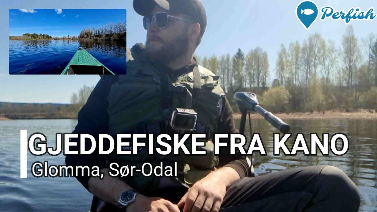 En fin v&aring;rdag med gjeddefiske fra kano i Glomma