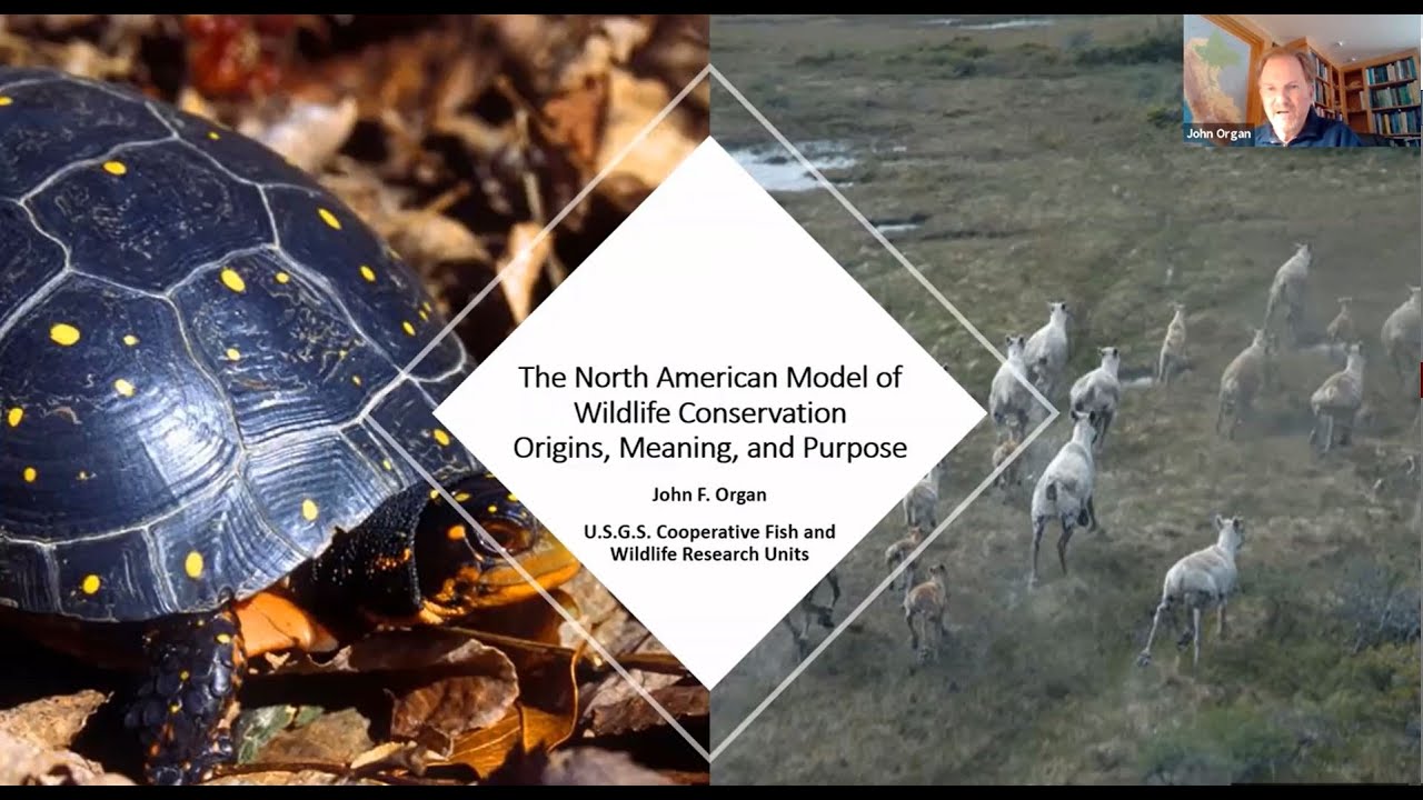 The North American Model of Wildlife Conservation: Origins, Meaning, and Purpose