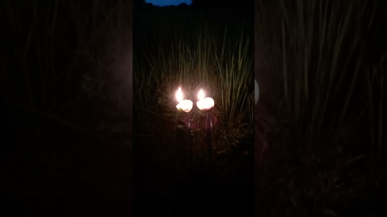 aalari bati saobai kartik gasani