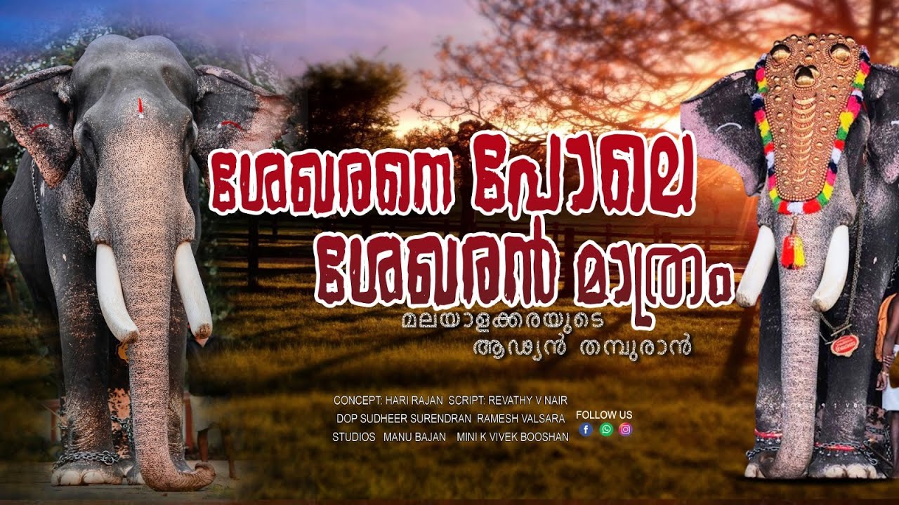 ഈ പൂവാലന്റെ ഒരു കാര്യം|ആനക്കേരളത്തിന്റെ ആഢ്യൻതമ്പുരാൻ|Kerala elephant Kanjirakkattu Sekharan|EPI 239