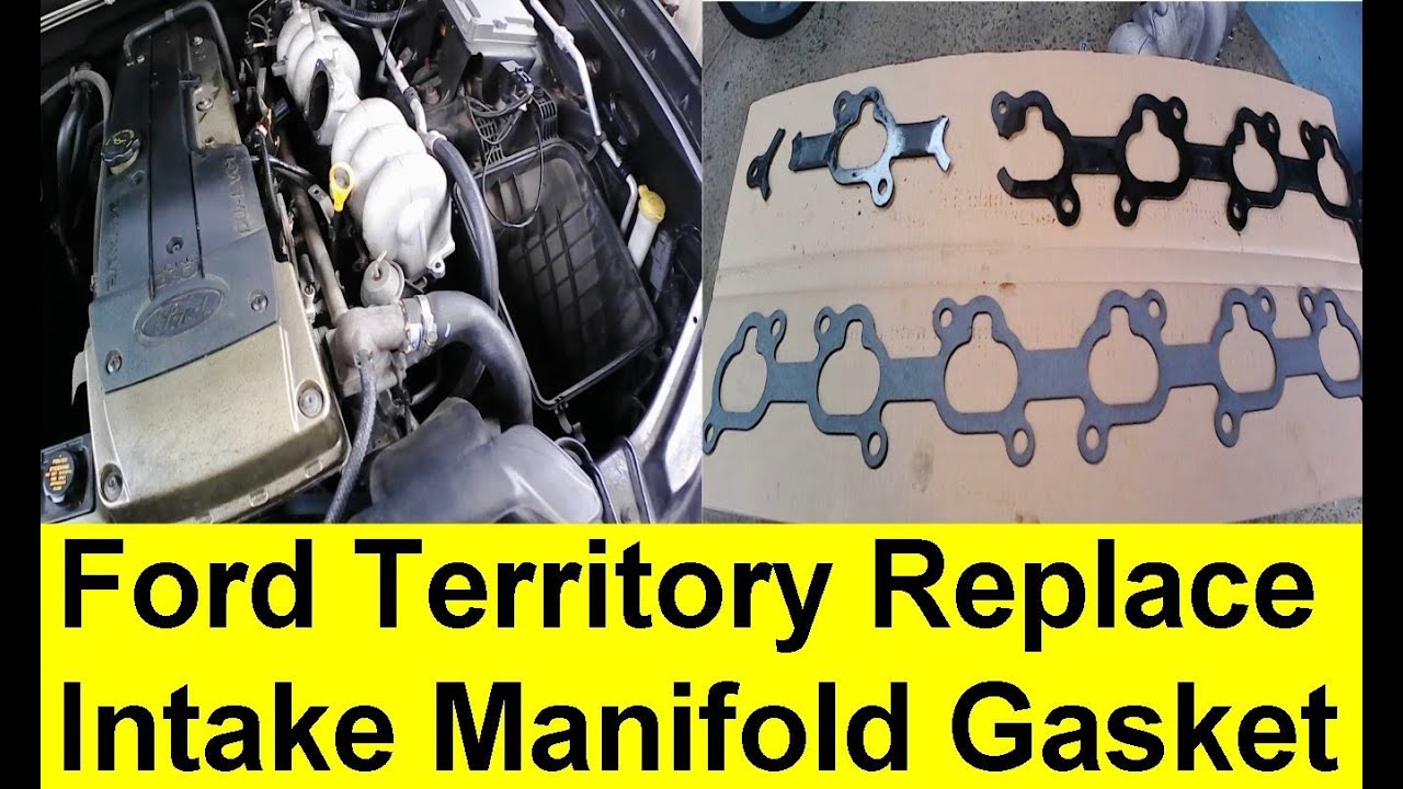 Ford Territory How To Replace Intake Manifold Gasket