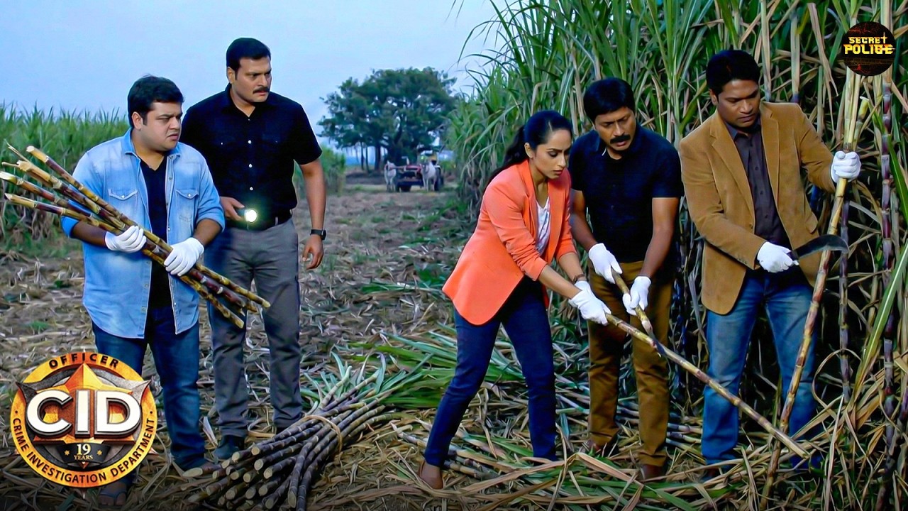 पूर्वी के गांव में दया और अभिजीत ने ताज़े गन्नों का मज़ा लिया | Best Of CID | New Episode