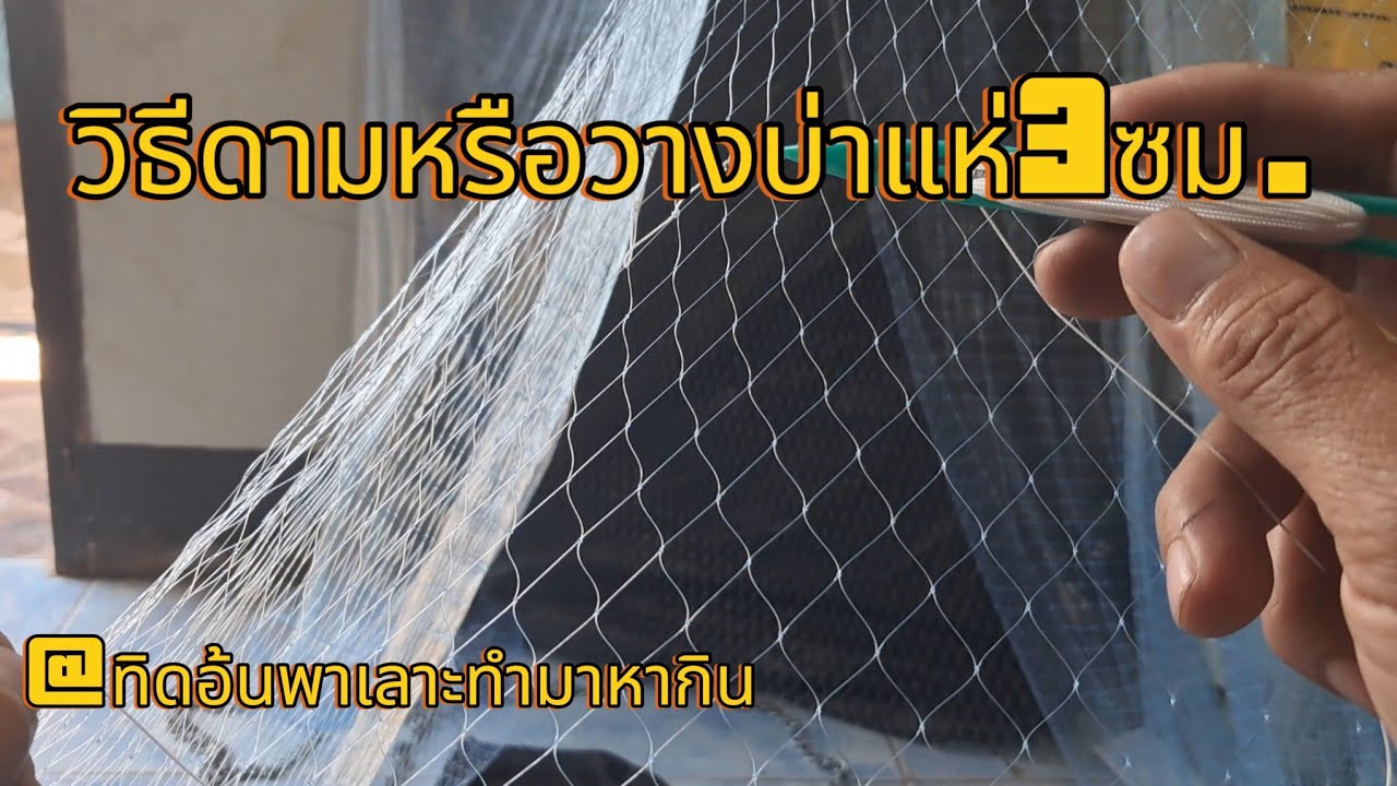 ดามแหหรือวางบ่าแห3ซม. #แหน้ำแดง #ต่อแหเอ็น #fishing @ทิดอ้น พาเลาะทำมาหากิน