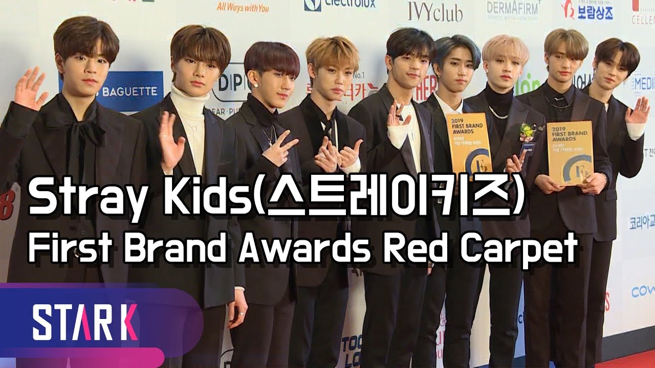 스트레이키즈, 스테이 우리 상 탔어~ (Stray Kids, 2019 FBA Red Carpet)