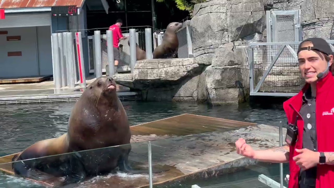 Visiting the Vancouver Aquarium