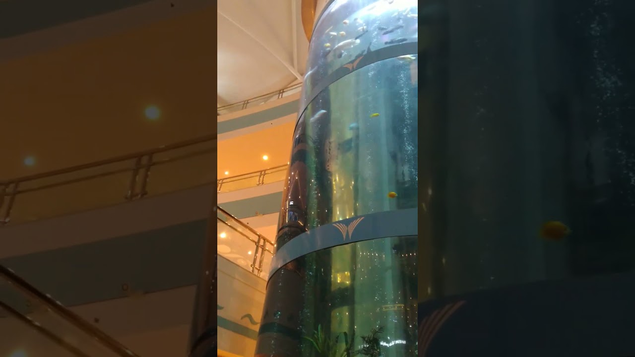 Mushrif Mall. Abu Dhabi. Elevator inside Aquarium. #abudhabi #uae #visitabudhabi