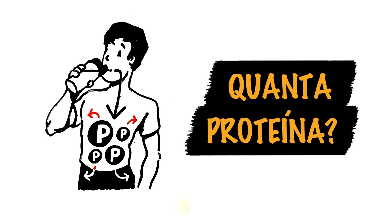 Quanta Prote&iacute;na Voc&ecirc; REALMENTE Precisa Em Um Dia? | Autoridade Fitness