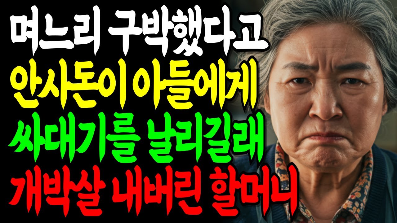 며느리 구박했다고 안사돈이 아들에게 싸대기 날리길래 개박살 내버린 할머니 노년의 삶의 지혜 행복한 노후생활 부모자식갈등 사연 이야기 오디오북