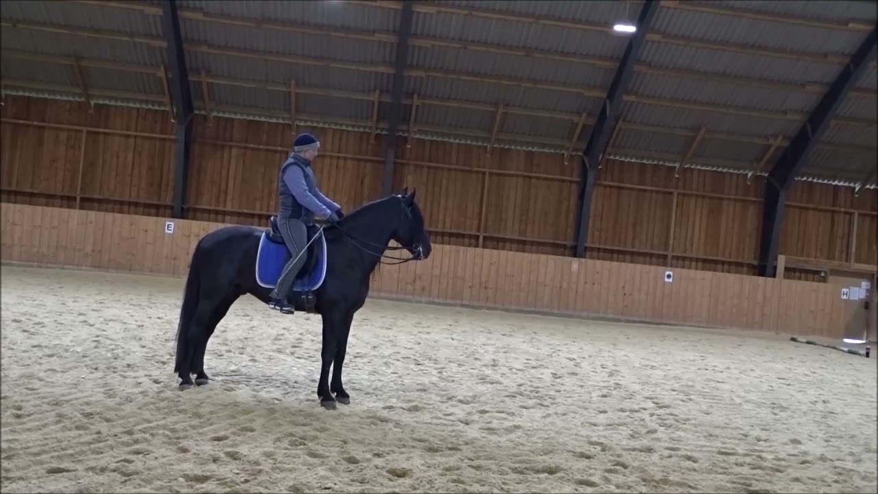 Susanne Schnell mir PRE Hengst 