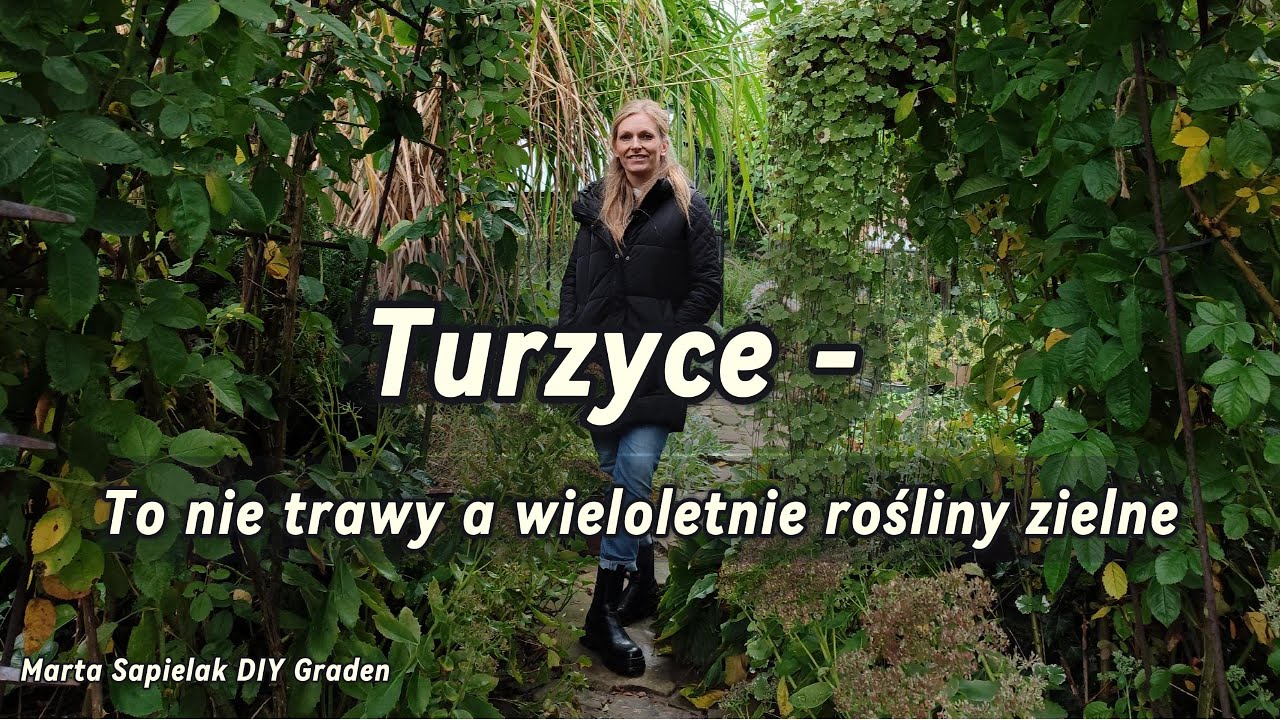 Turzyce  -  to nie trawy
