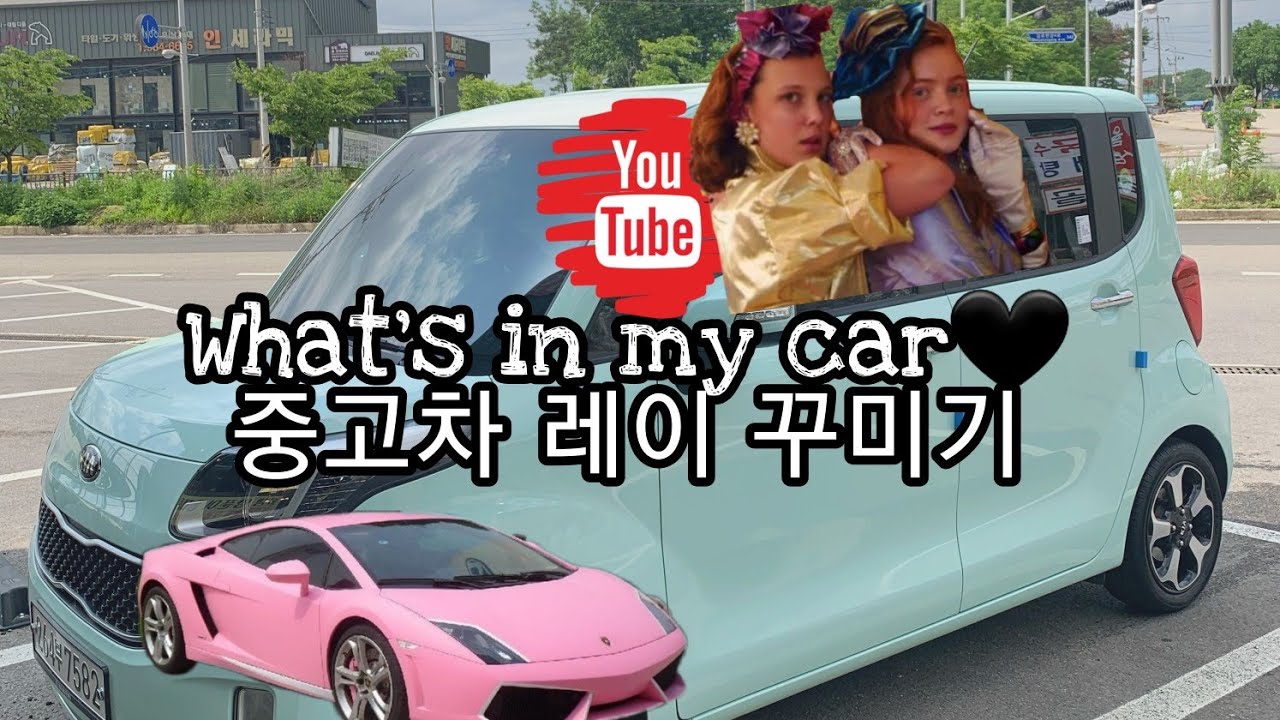 Vlog 초보운전 브이로그| 중고차 레이 꾸미기|엠블럼교체|왓츠인마이카🚗!|고양이 두마리|현실부부