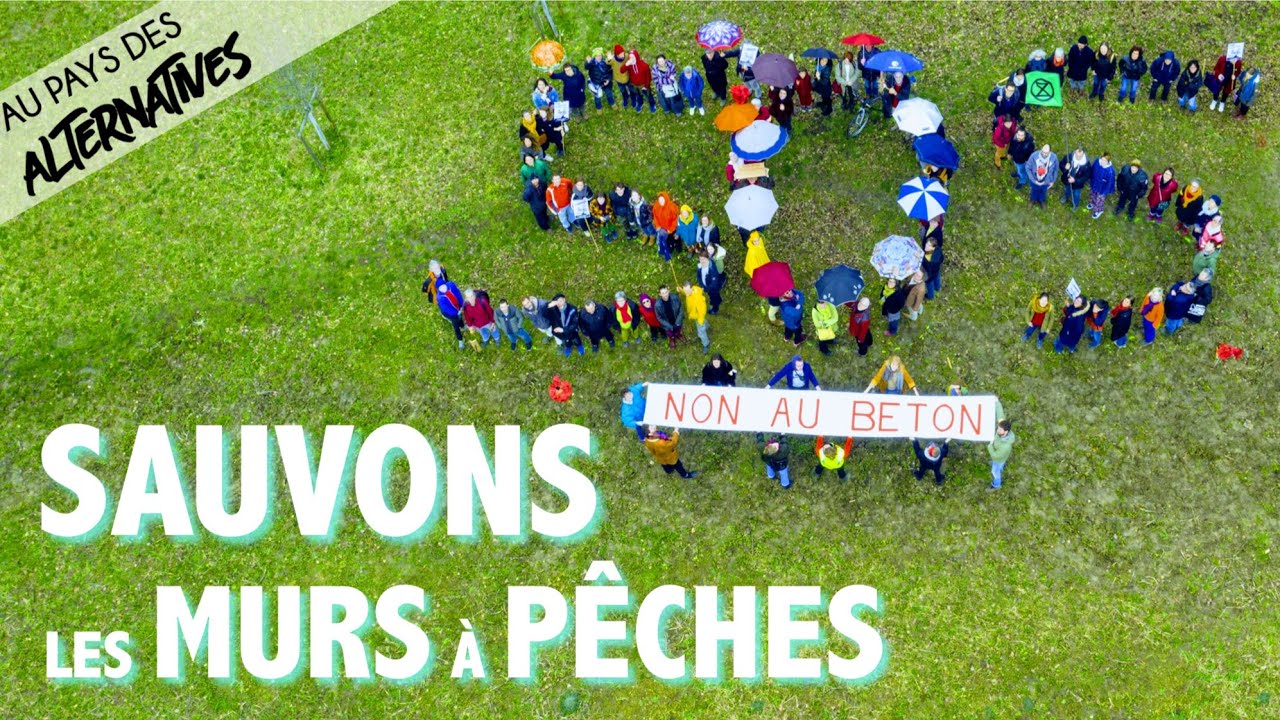 Alternative #8 : Les Murs à Pêches