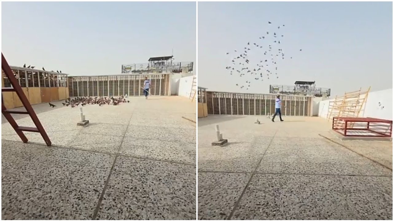 زياره ميدانيه في منطقه الكاضميه فصل الصبح
