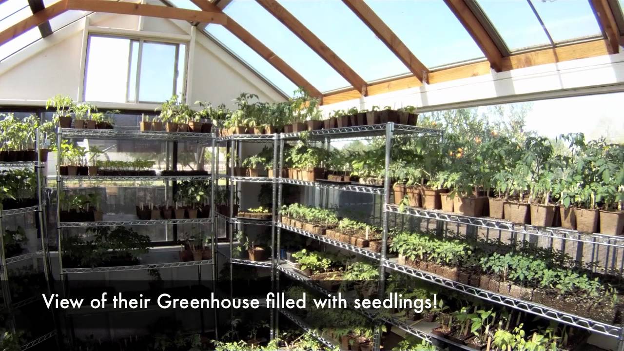 Farm to Market: Hatching Bunnies Farm