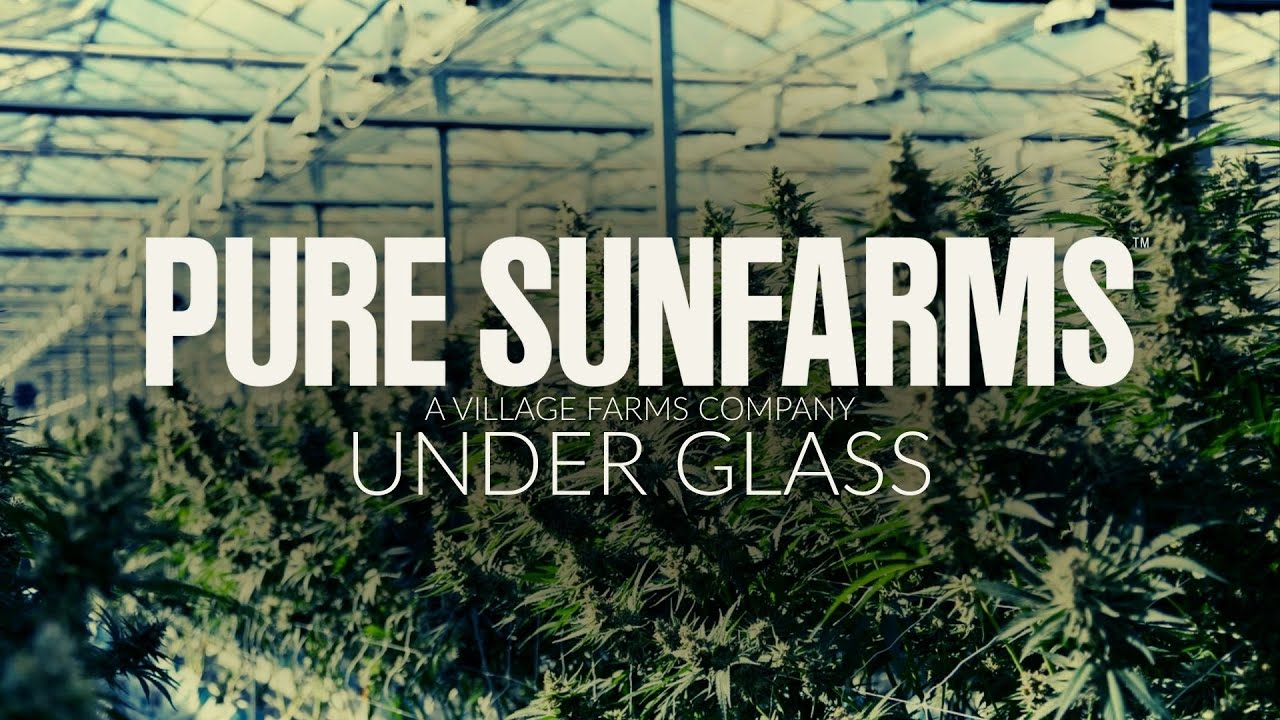 Under Glass: Inside Pure Sunfarms