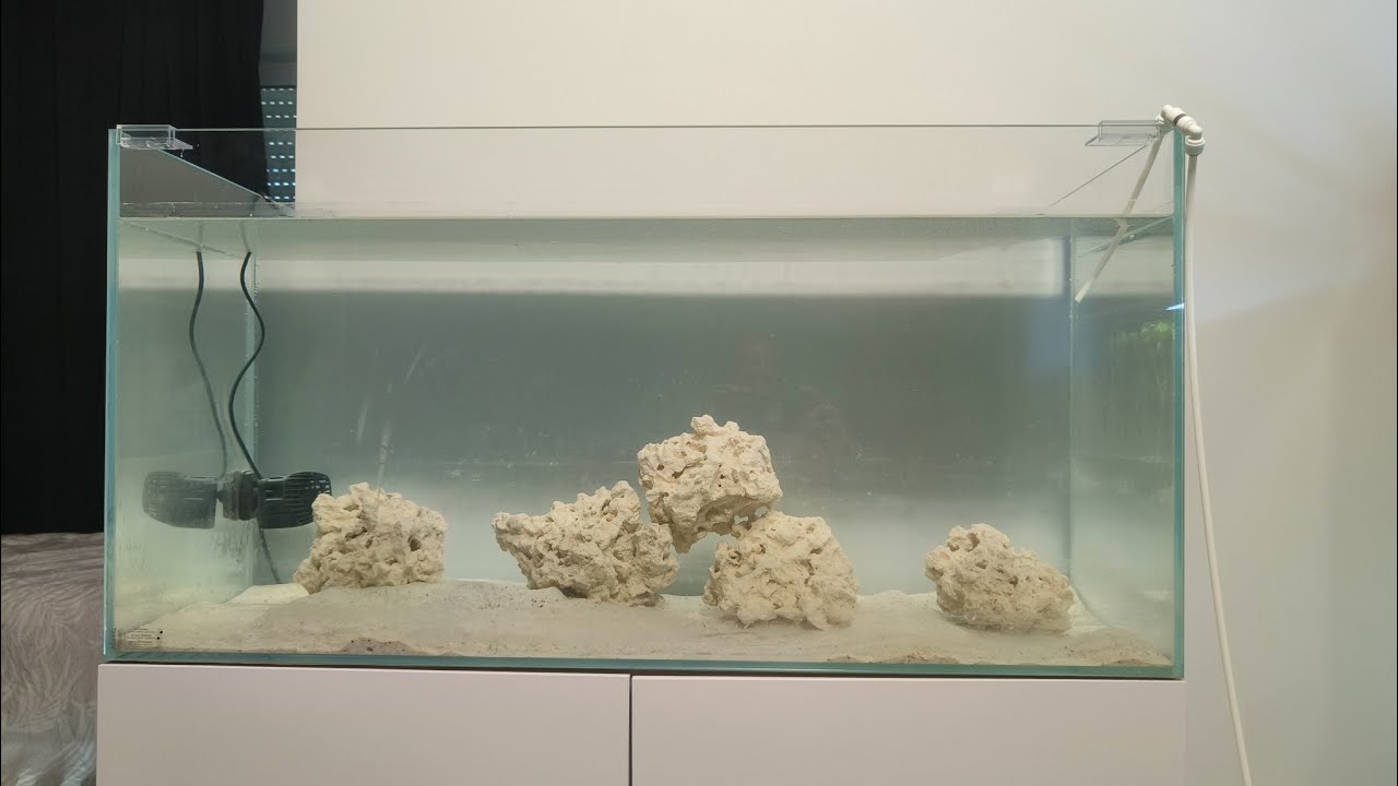 📌CICLADO del Acuario marino : La importancia del REDOX según si tenemos roca viva o muerta .
