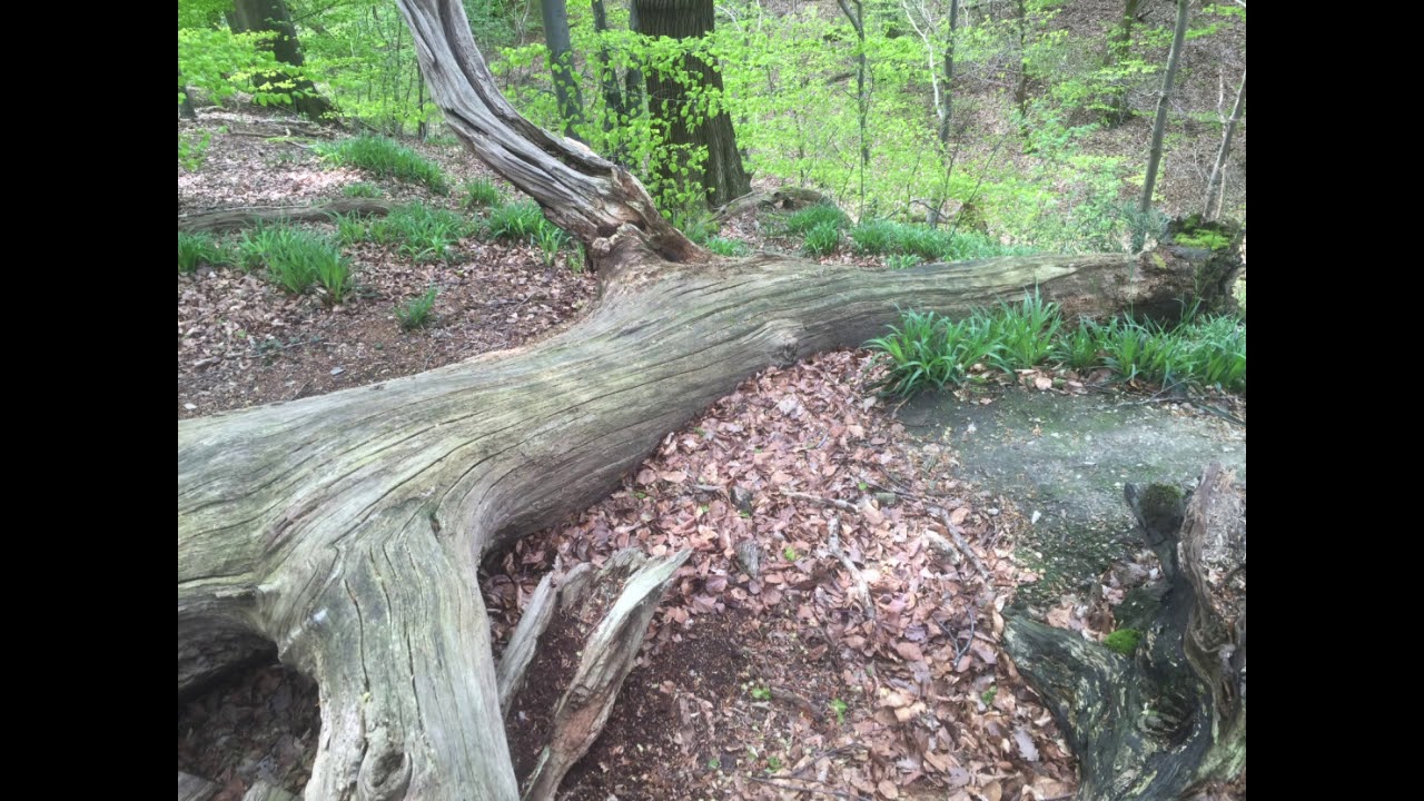 Jansberg Plasmolen