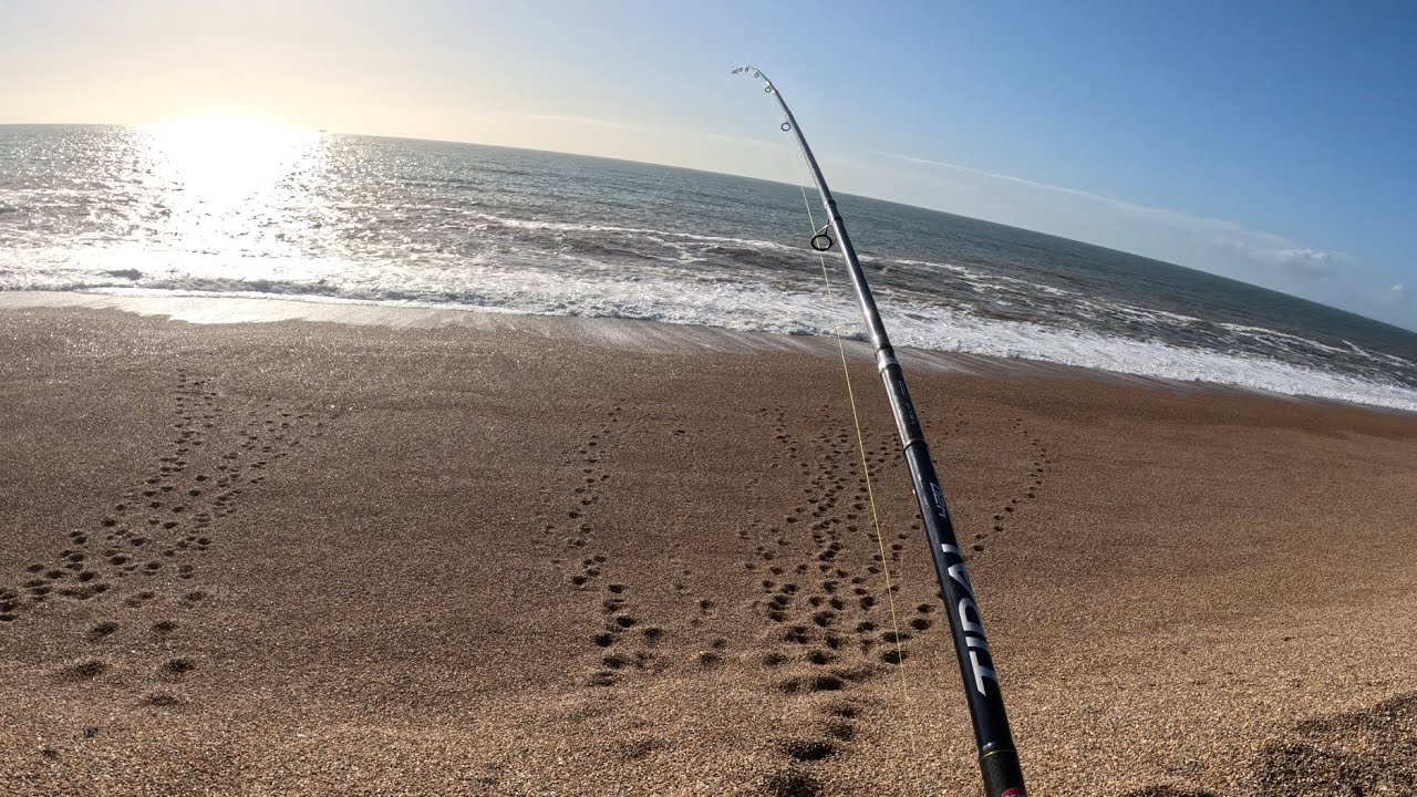 Пляж Чесил. Великолепная погода и много рыбы! 🎣 👍Морская рыбалка, ноябрь 2025 г.