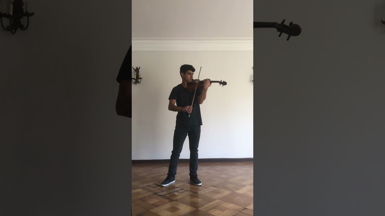 Fiorillo 20