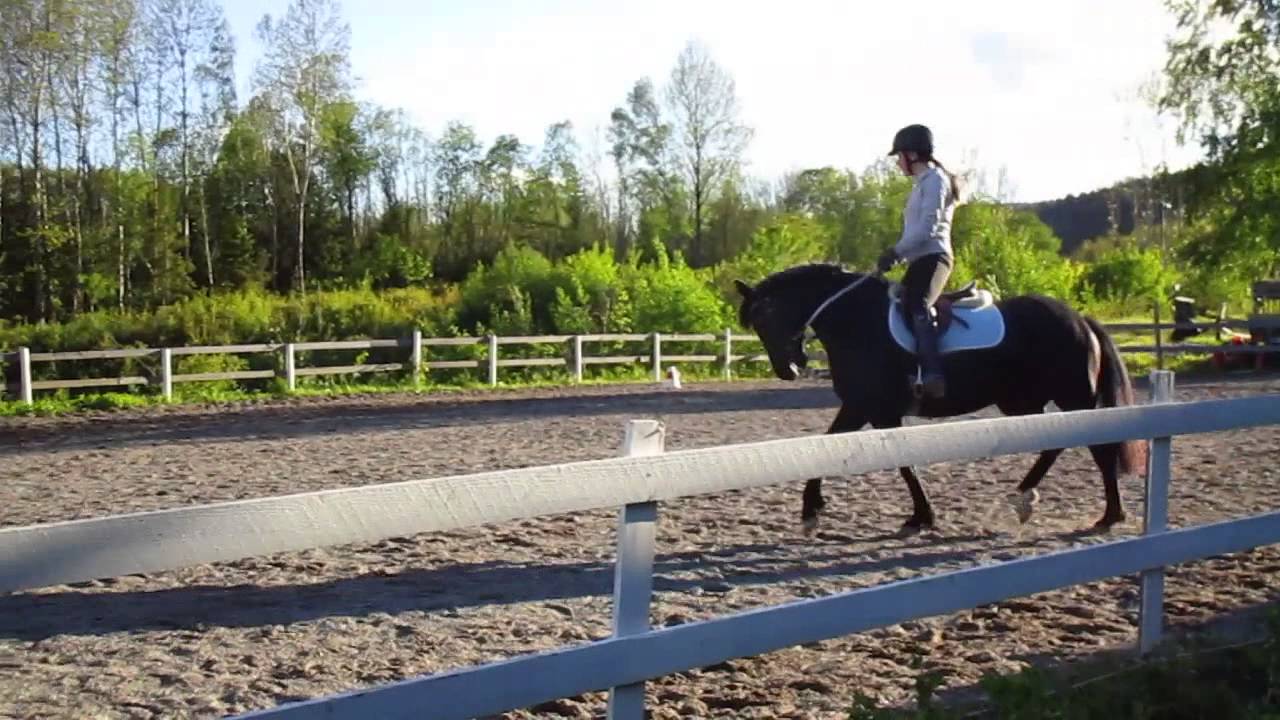 Pr&oslash;ving av Russel