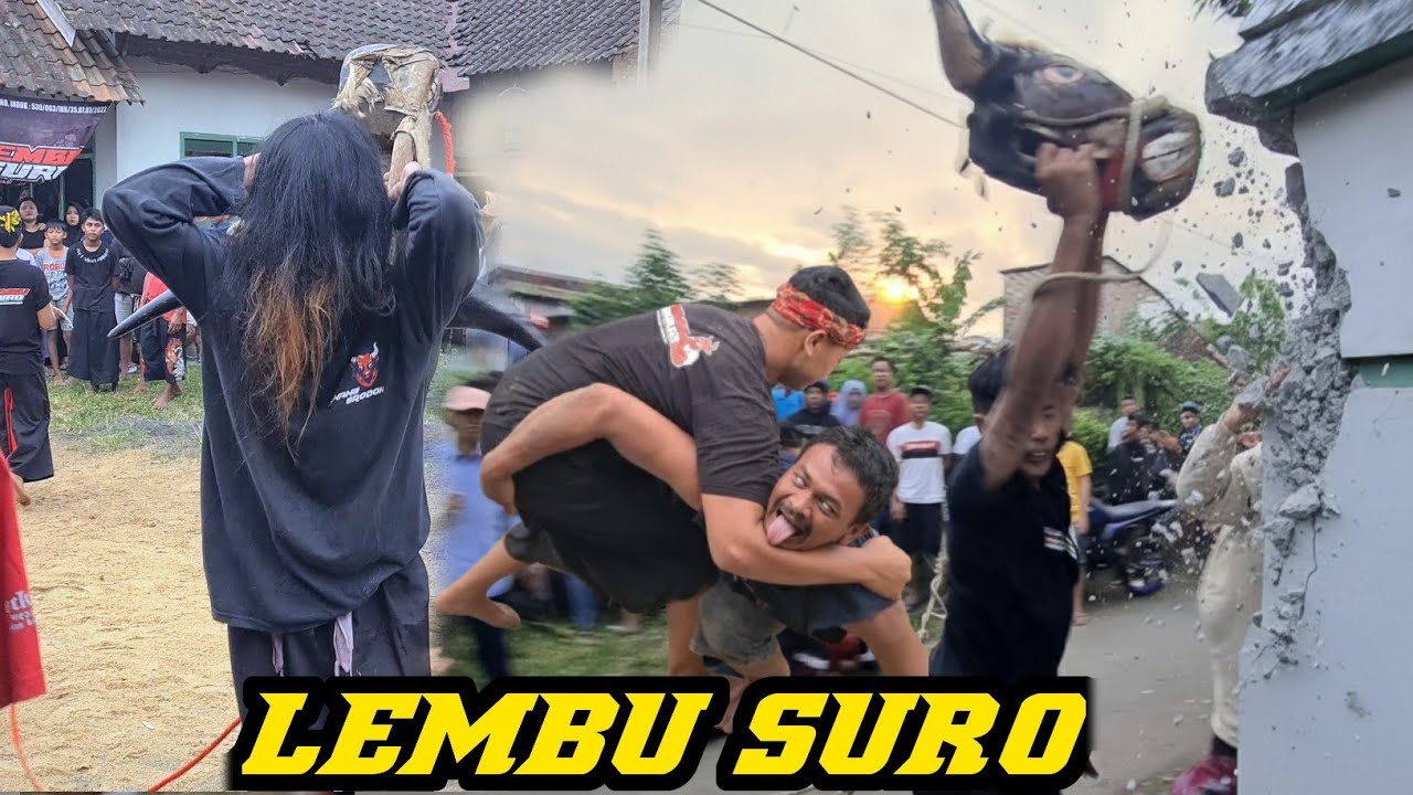 DEMIT TUWA NGAMUK!! LEMBU SURO KALAP SERUDUK