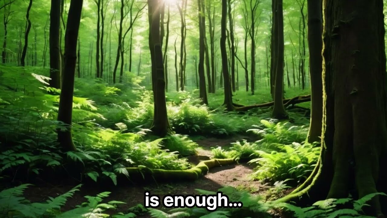 «Отпусти разум» — медитация для засыпания.