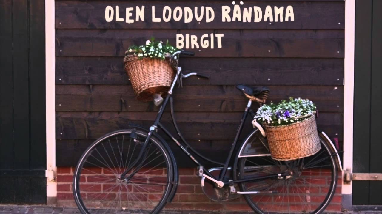 Birgit - Olen loodud r&auml;ndama
