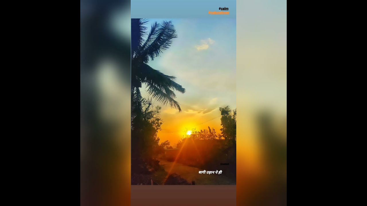 Sunset status🌄... WhatsApp status🌅❤️..Love song status ❤️✨